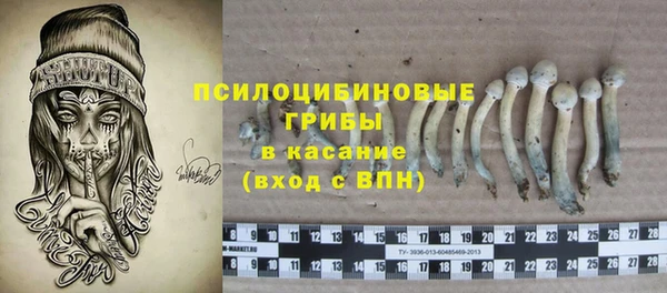 spice Бронницы