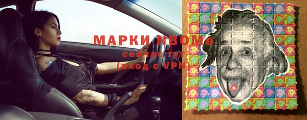 apvp Иннополис