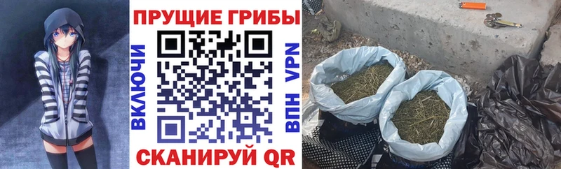 наркота  Кондопога  Галлюциногенные грибы мицелий 