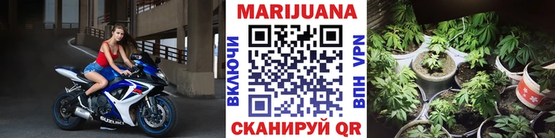 mega зеркало  Кондопога  Канабис OG Kush 